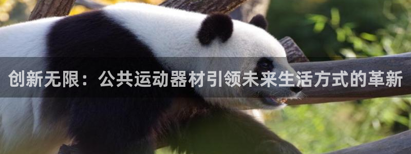 意昂体育5(KGAME)招商电话是多少号码：创新无限：公共运