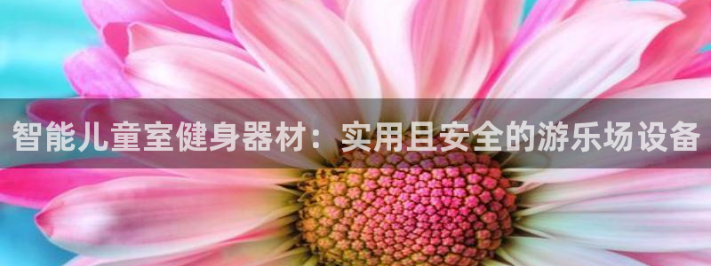 意昂5(KGAME)官方：智能儿童室健身器材：实用且安全的游