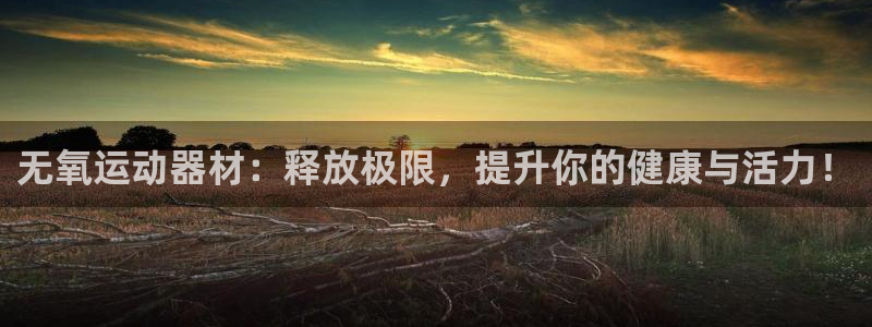 意昂5(KGAME)娱乐代理怎么样：无氧运动器材：释放极限，