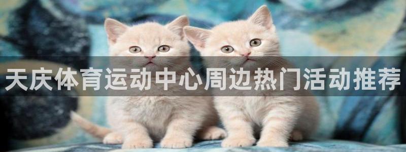 米兰体育网址