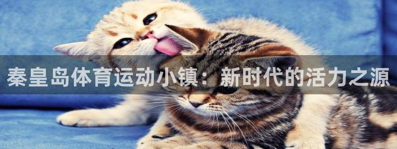 米兰体育中心：秦皇岛体育运动小镇：新时代的活力之源