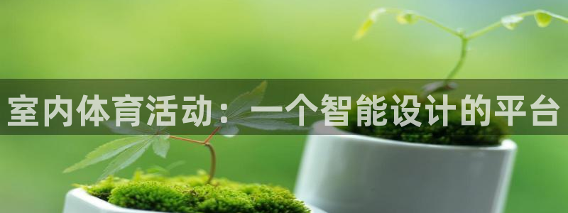 米兰体育登录：室内体育活动：一个智能设计的平台