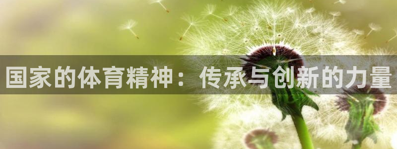 米兰体育app下载：国家的体育精神：传承与创新的力量