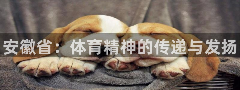 米兰体育综合官网：安徽省：体育精神的传递与发扬