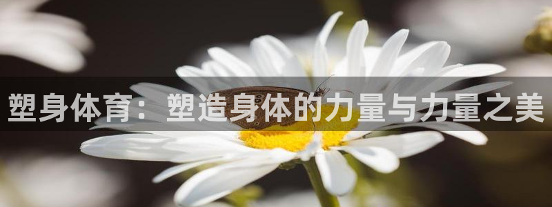 米兰体育场：塑身体育：塑造身体的力量与力量之美