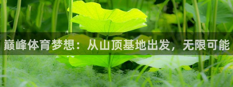 米兰体育app：巅峰体育梦想：从山顶基地出发，无限可能