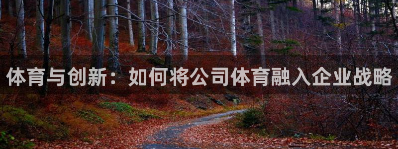 米兰体育官方下载入口：体育与创新：如何将公司体育融入企业战略